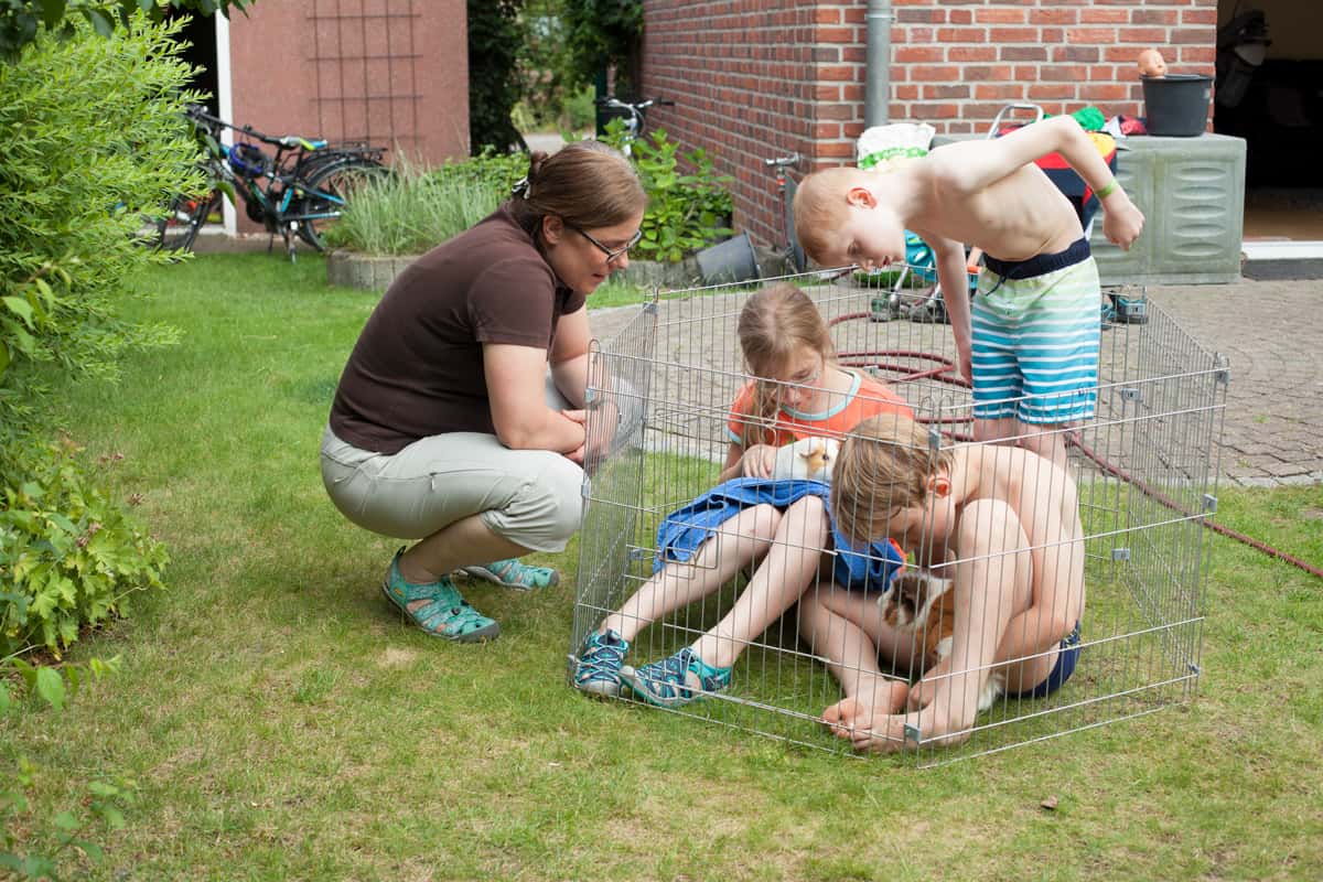 Kinder und Mutter mit Meerschweinchen im Garten