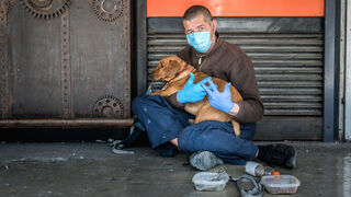 Ein Mann mit Handschuhen und Mund-Nasen-Schutz sitzt auf dem Boden und hat einen Hund auf dem Schoß
