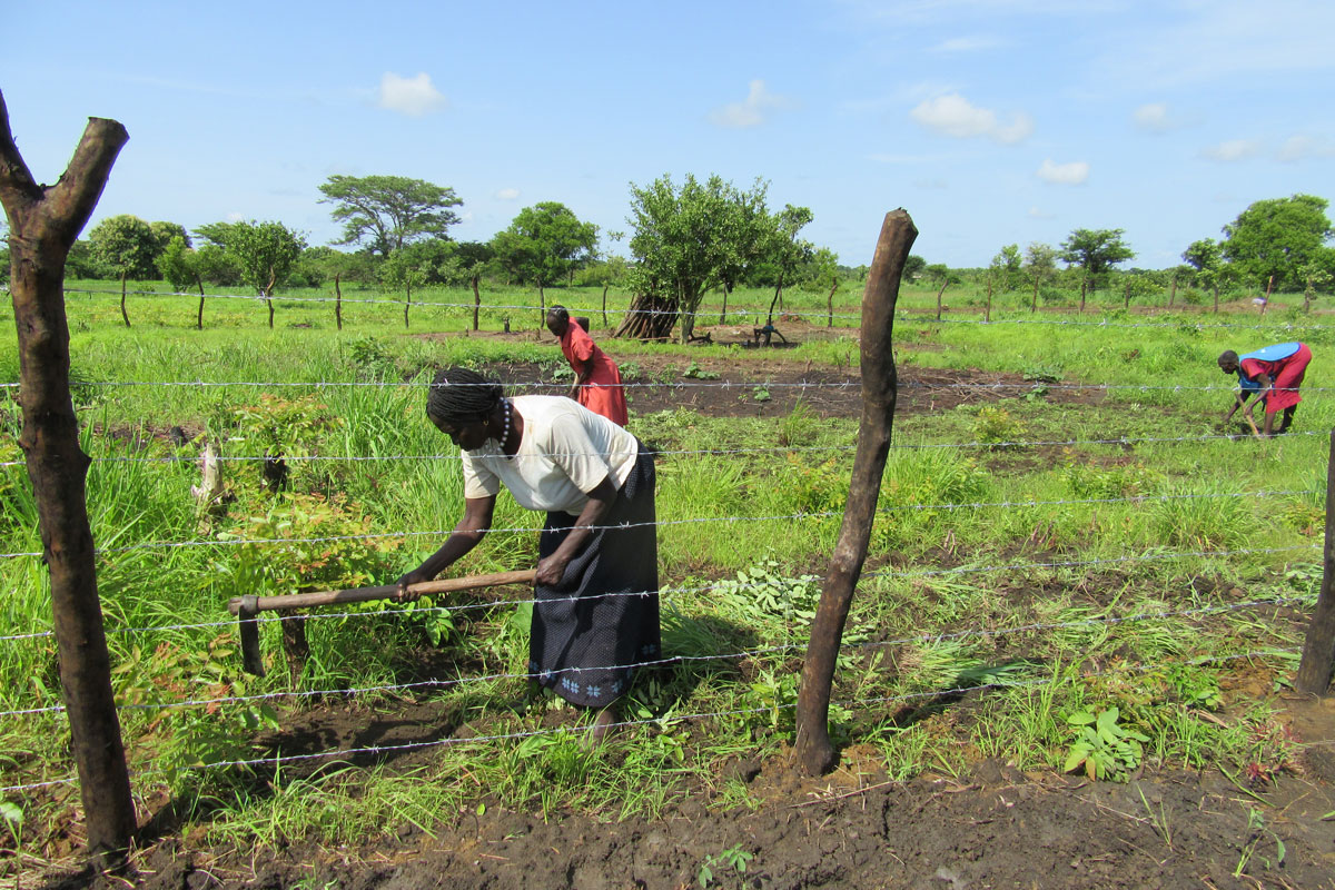 Frauen bestellen Feld im Südsudan