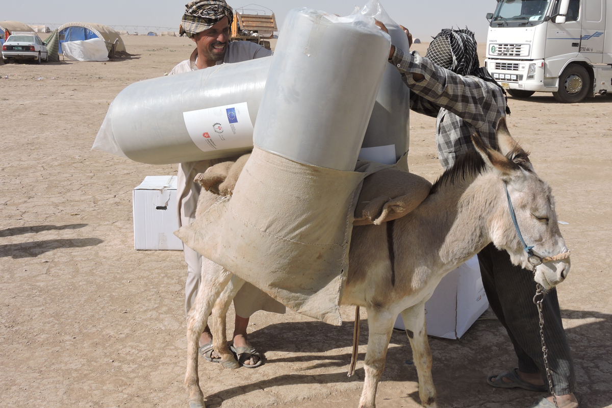 Ein Esel transportiert Hilfsgüter für Menschen aus dem Flüchtlingslager im Irak