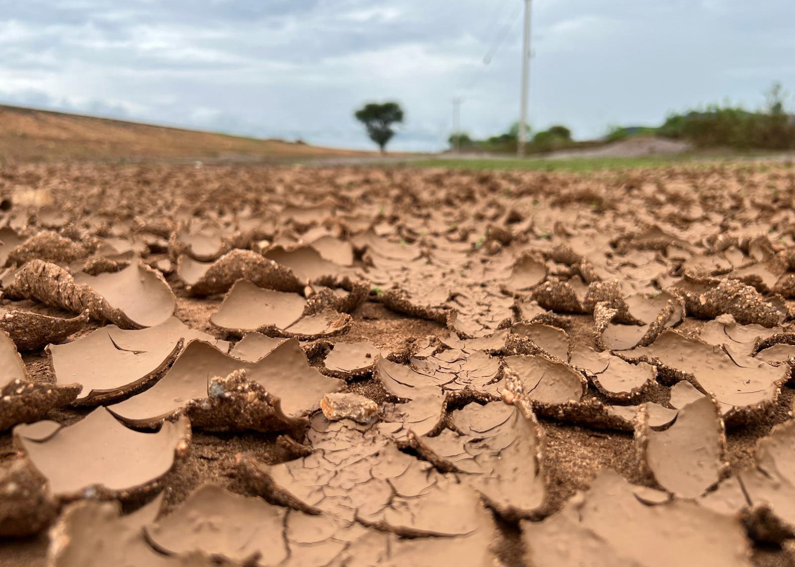 Lange Dürre gefolgt von großen Wassermassen haben dem Boden massiv zugesetzt.