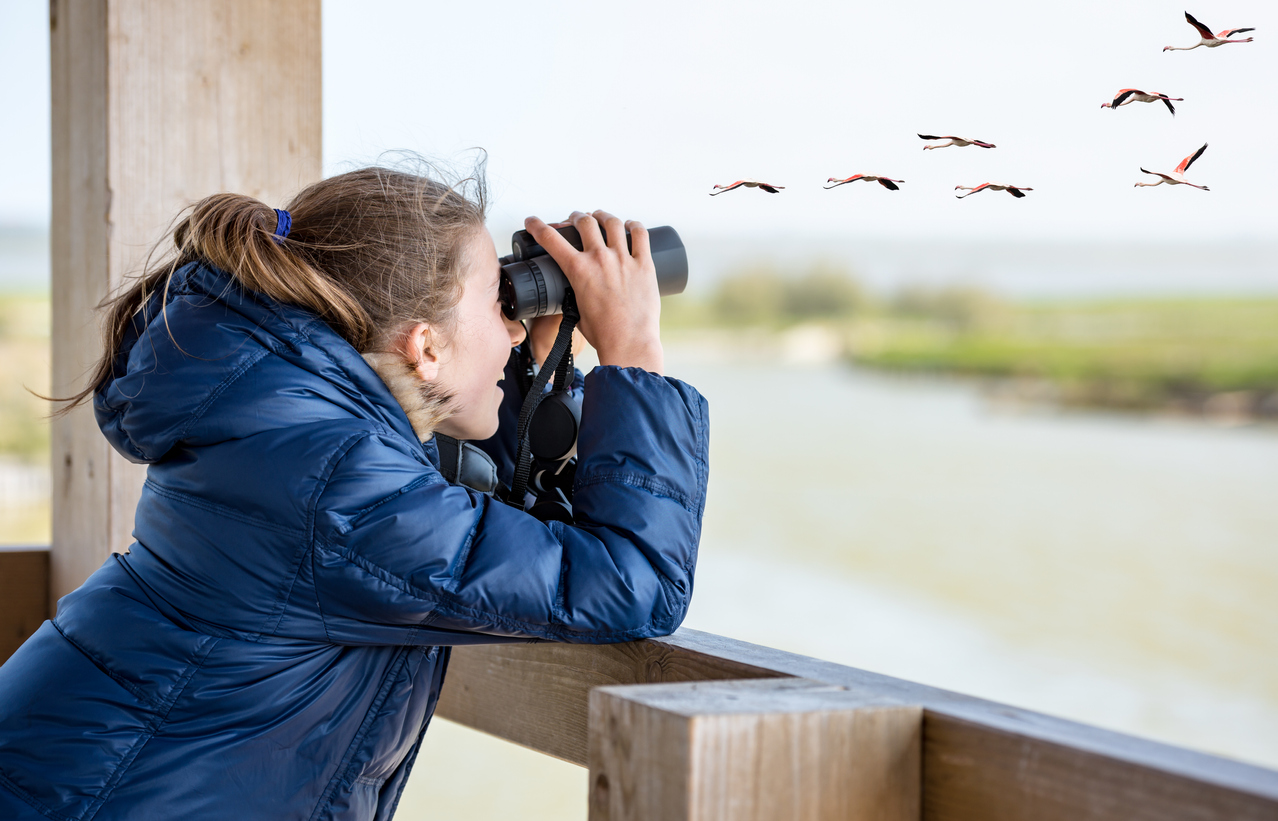 Mädchen beobachtet Vögel mit einem Fernglas