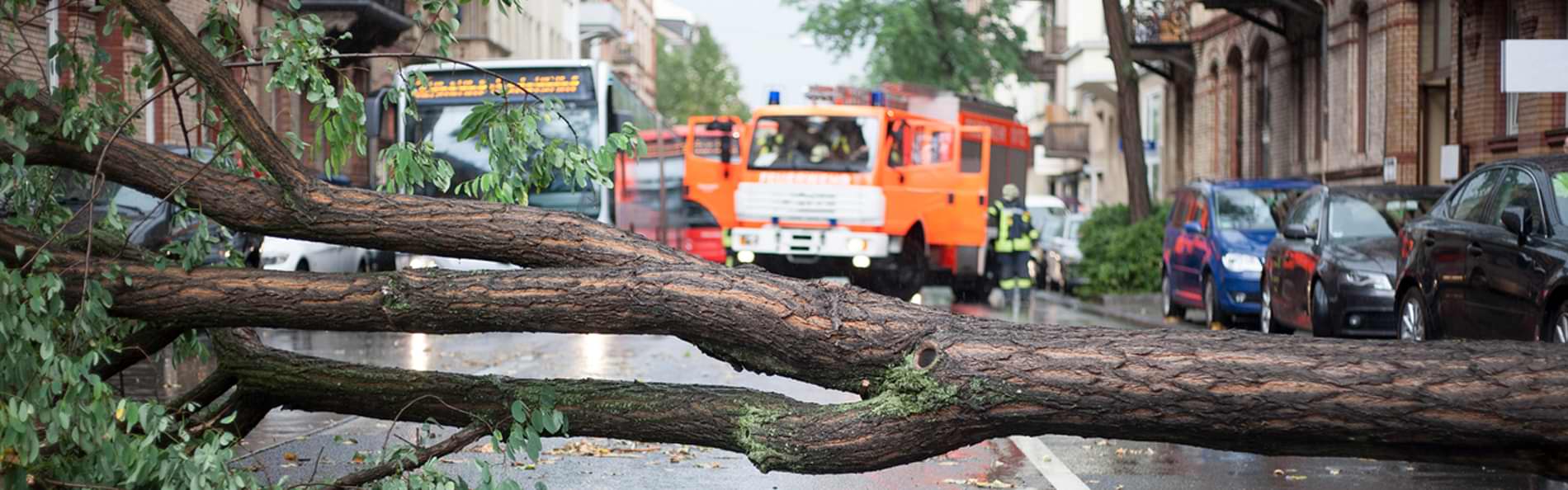 Ein umgestürzter Baum auf einer Straße, dahinter ein Fahrzeug der Feuerwehr.