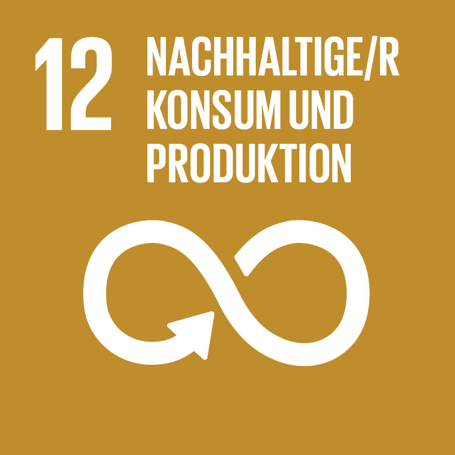 Icon Nachhaltige/r Konsum und Produktion