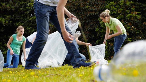 Junge Menschen sammeln Müll auf einer Wiese