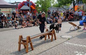 Moderierte Vorführung der Malteser Rettungshundestaffel aus Meckenheim. 