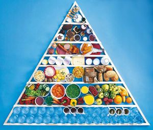 Ernährungspyramide mit Wasser als wichtigstem Nährstoff.