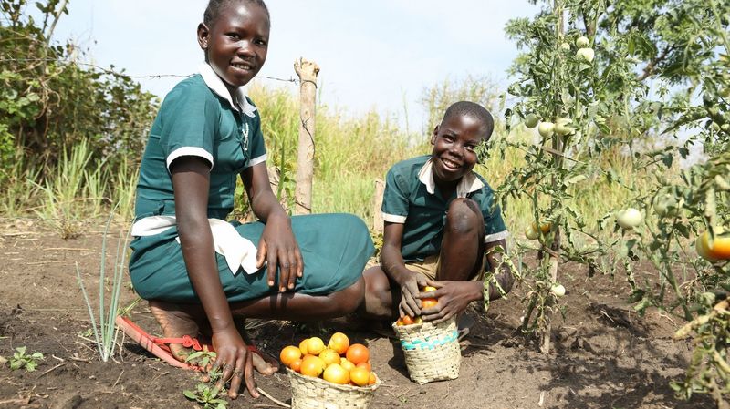 Ein Mädchen und ein Junge in grüner Kleidung ernten Früchte in einem Garten