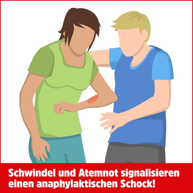 Eine grafische Darstellung einer Person mit einem Insektenstich am Arm; darunter auf rotem Grund der Text „Schwindel und Atemnot signalisieren einen anaphylaktischen Schock!“