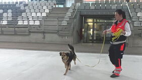 Auf der eisfreien Fläche der Arena steht eine Malteser Helferin und hält an der Leine einen Rettungshund.