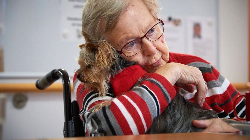 Ein kleiner Hund in den Armen einer älteren Frau im Rollstuhl