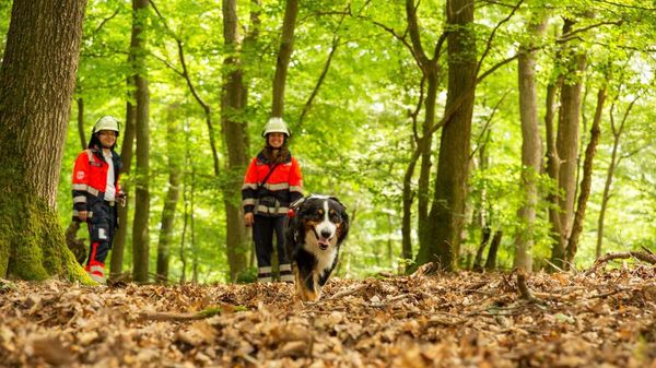 Ein Hund und zwei Menschen in Einsatzkleidung in einem Wald.