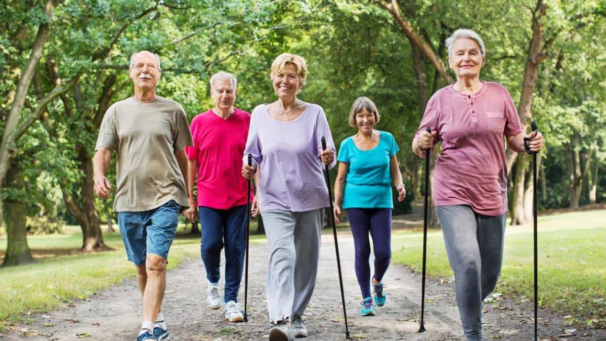 Fünf Senioren betreiben den Sport Walking im Wald aus.