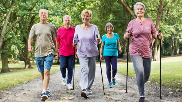 Fünf Senioren betreiben den Sport Walking im Wald aus.