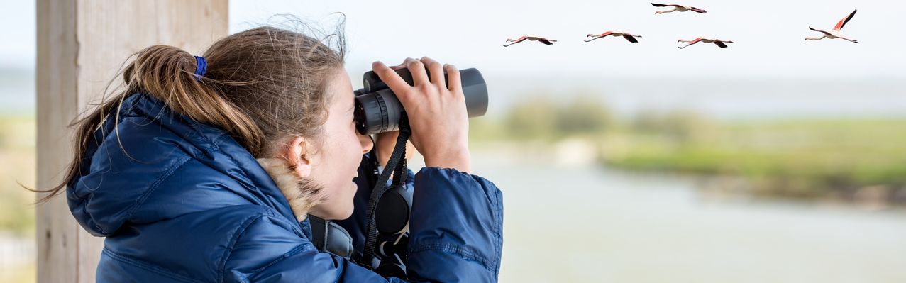 Mädchen beobachtet Vögel mit einem Fernglas