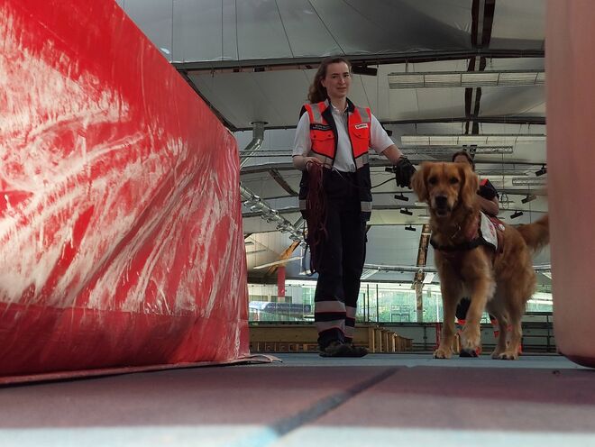 Eine Malteser Helferin führt einen Hund durch die Eislaufhalle.
