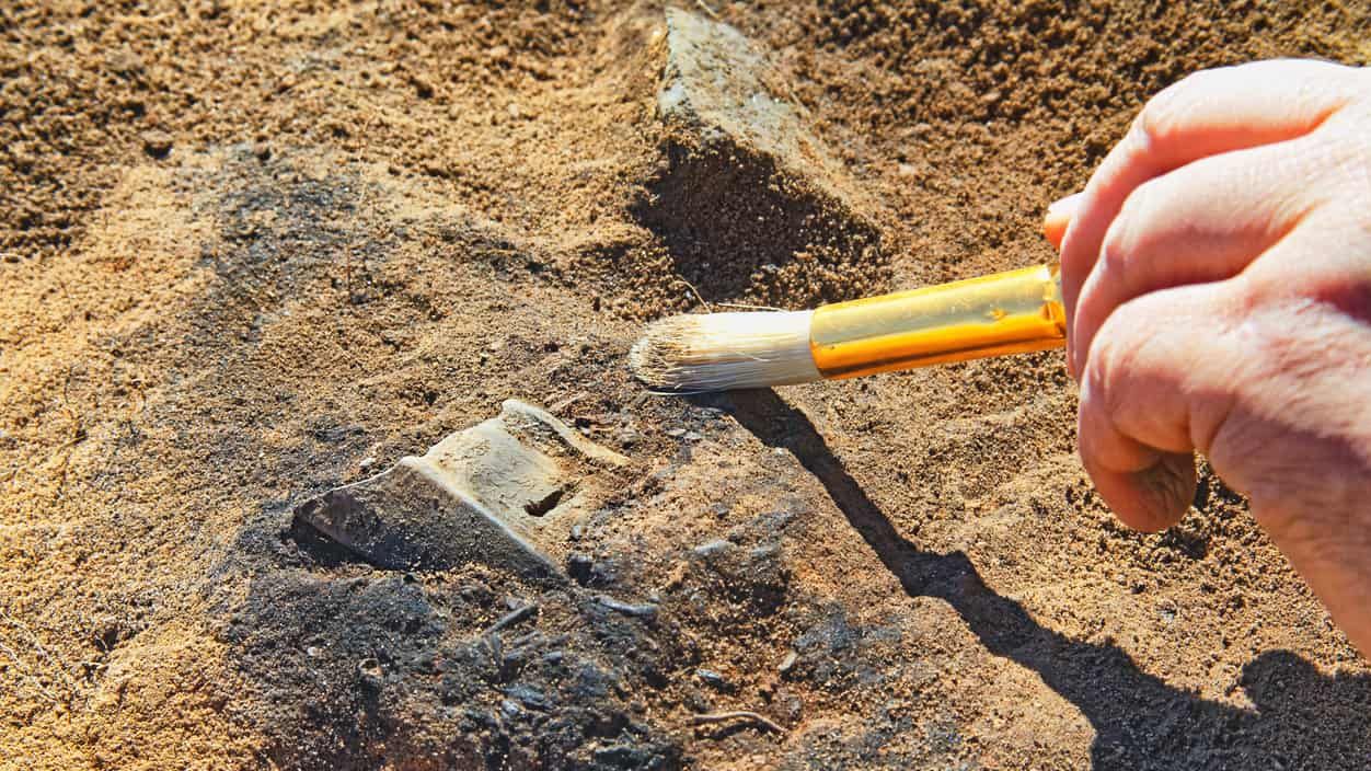Archäologe legt mit Pinsel ein Artefakt in der Erde frei