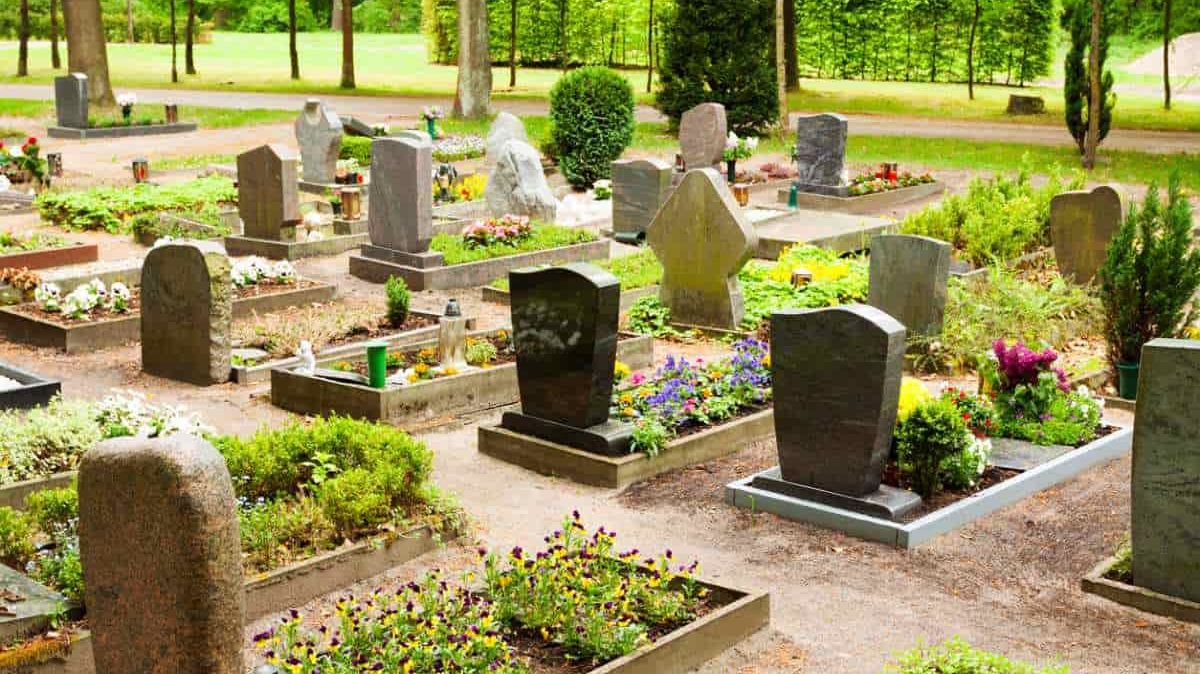 Grüner Parkfriedhof während des Frühlings.
