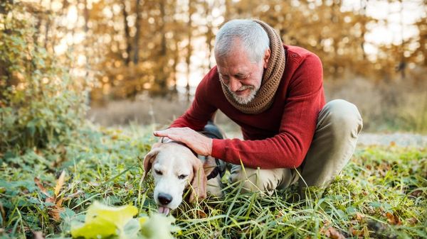 Älterer Mann im Wald streichelt seinen Hund.