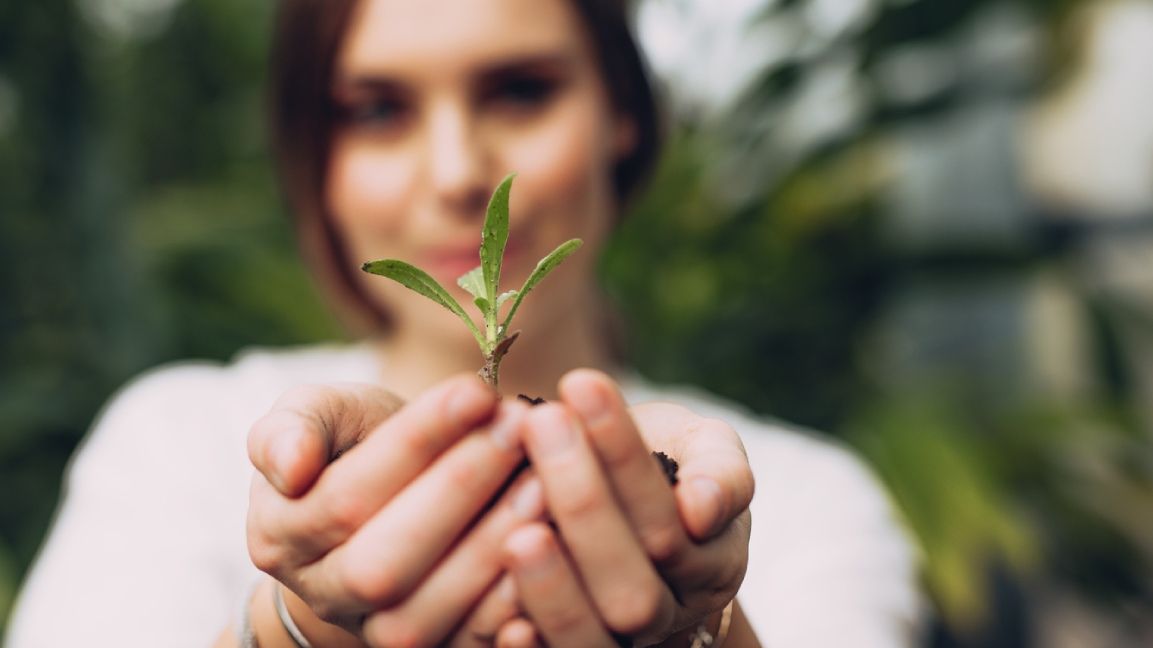 Junge Frau hält kleine Pflanze in den Händen